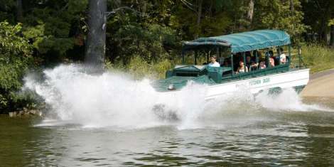 Wis Dells duck in water