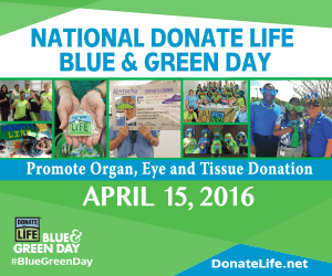 Blue &amp; Green 2016