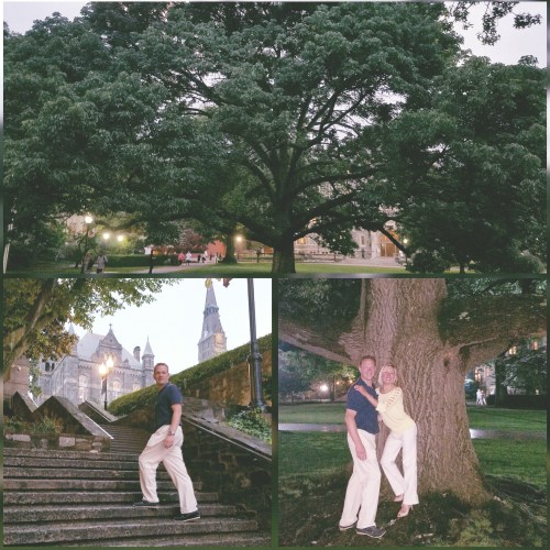 Georgetown Tree