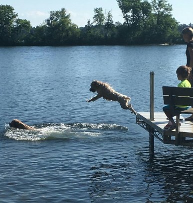 Honey and Piper lake